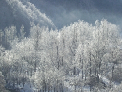  Image name: molino capodanno  2009 303 (217).jpg 
 width: 400 pixel 
 height: 301 pixel 
 Size: 105746 bytes 
 Click to enlarge 